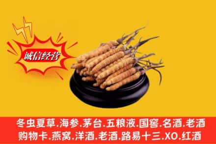 银川市永宁求购回收虫草多少钱每克